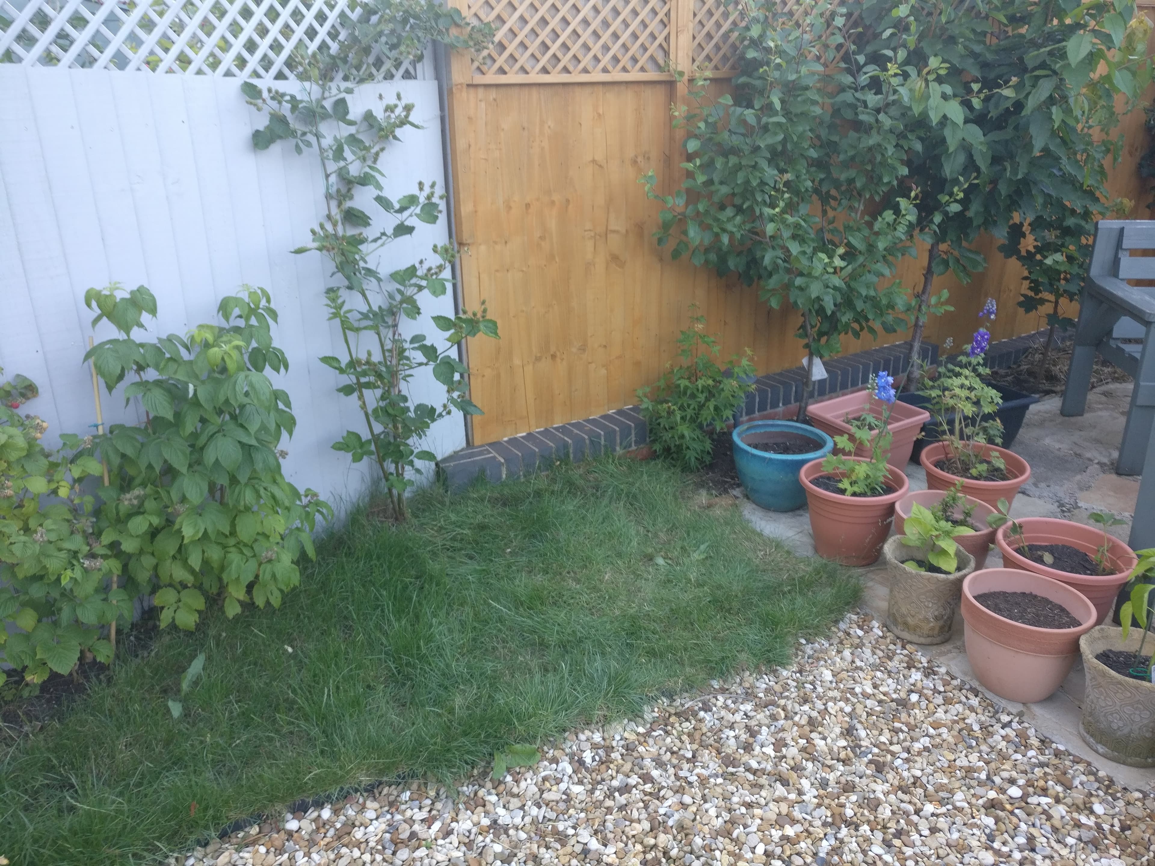 Empty garden corner before the water fountain feature was built